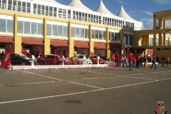 P1010008_800x600