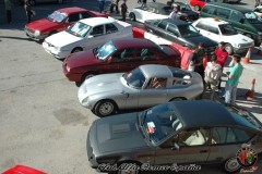 DSC_1282_800x600
