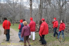 IMG_08071769_800x600